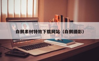潜江白鹅素材特效下载网站（白鹅摄影）